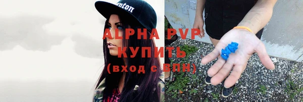 СК Вязники