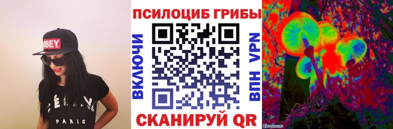 купить наркотик Новосокольники Галлюциногенные грибы GOLDEN TEACHER